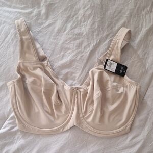 Elegant Cream Bra